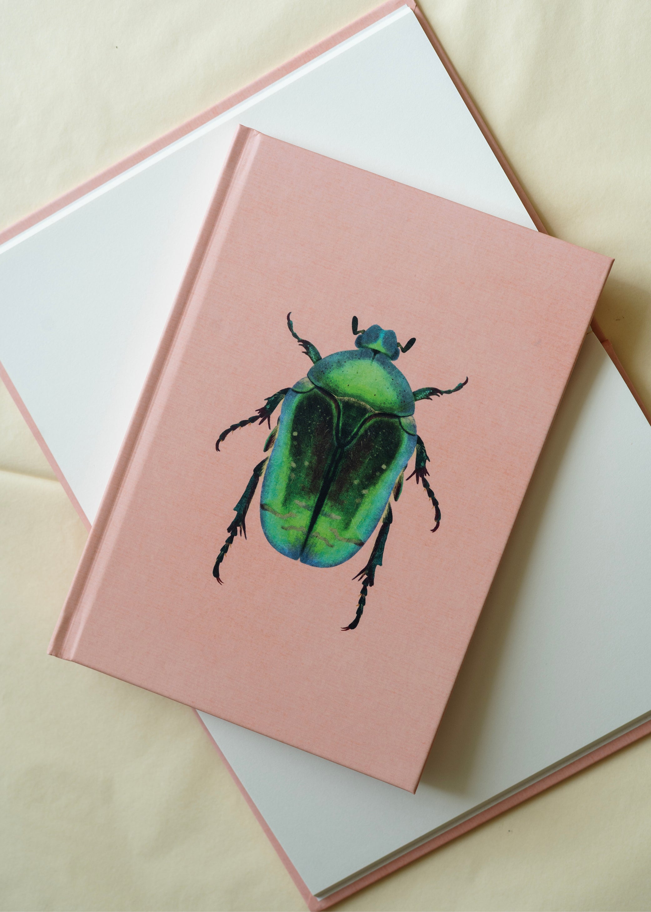 Notesbog — Guldbasse