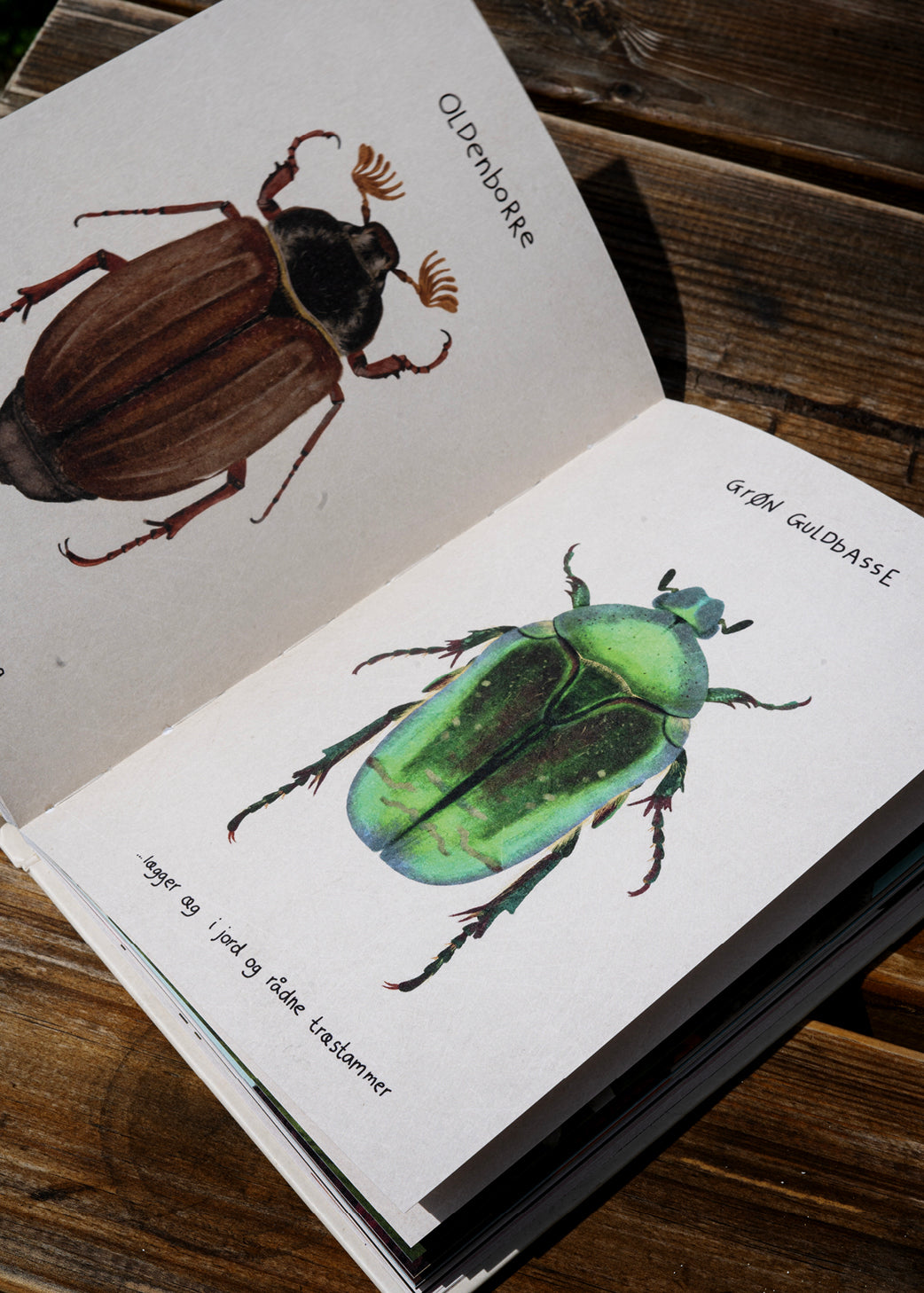 Bestsellers Bogpakken