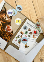Bestsellers Bogpakken