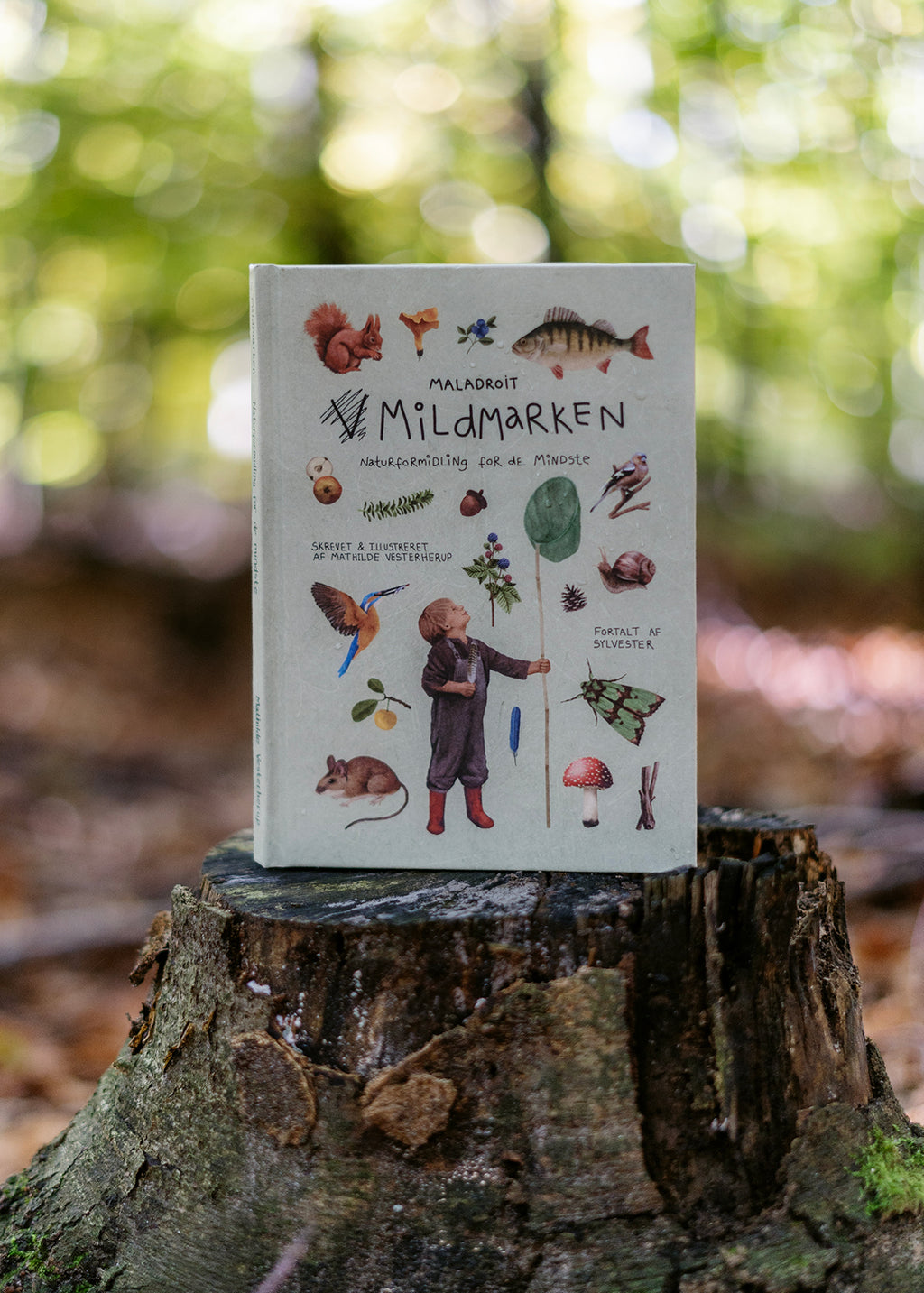 Bestsellers Bogpakken