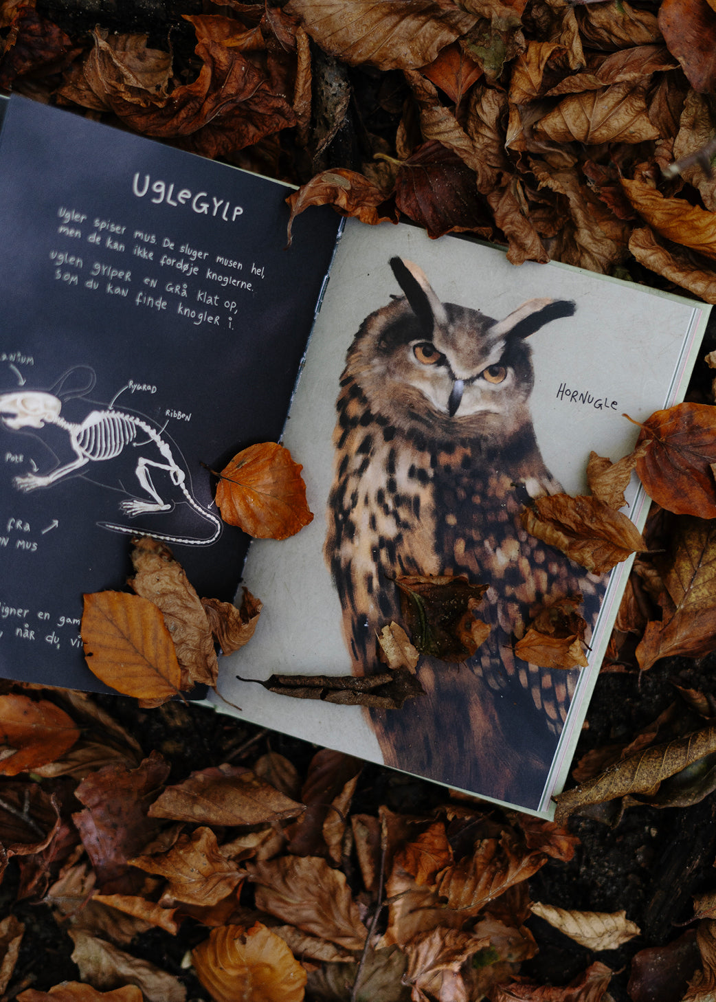 Bestsellers Bogpakken