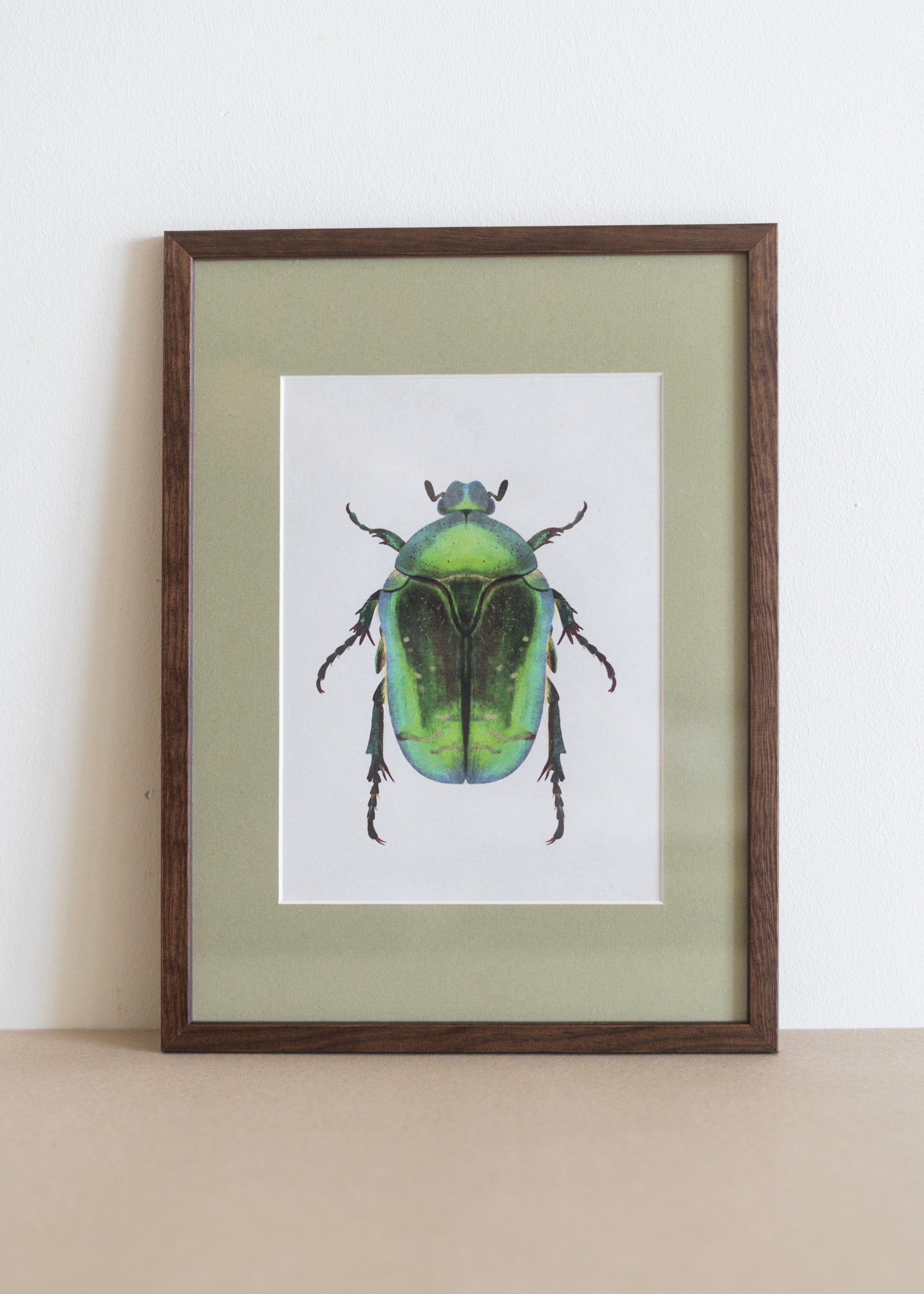 Grøn Guldbasse — Indrammet