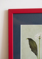 Ramsløg — Indrammet