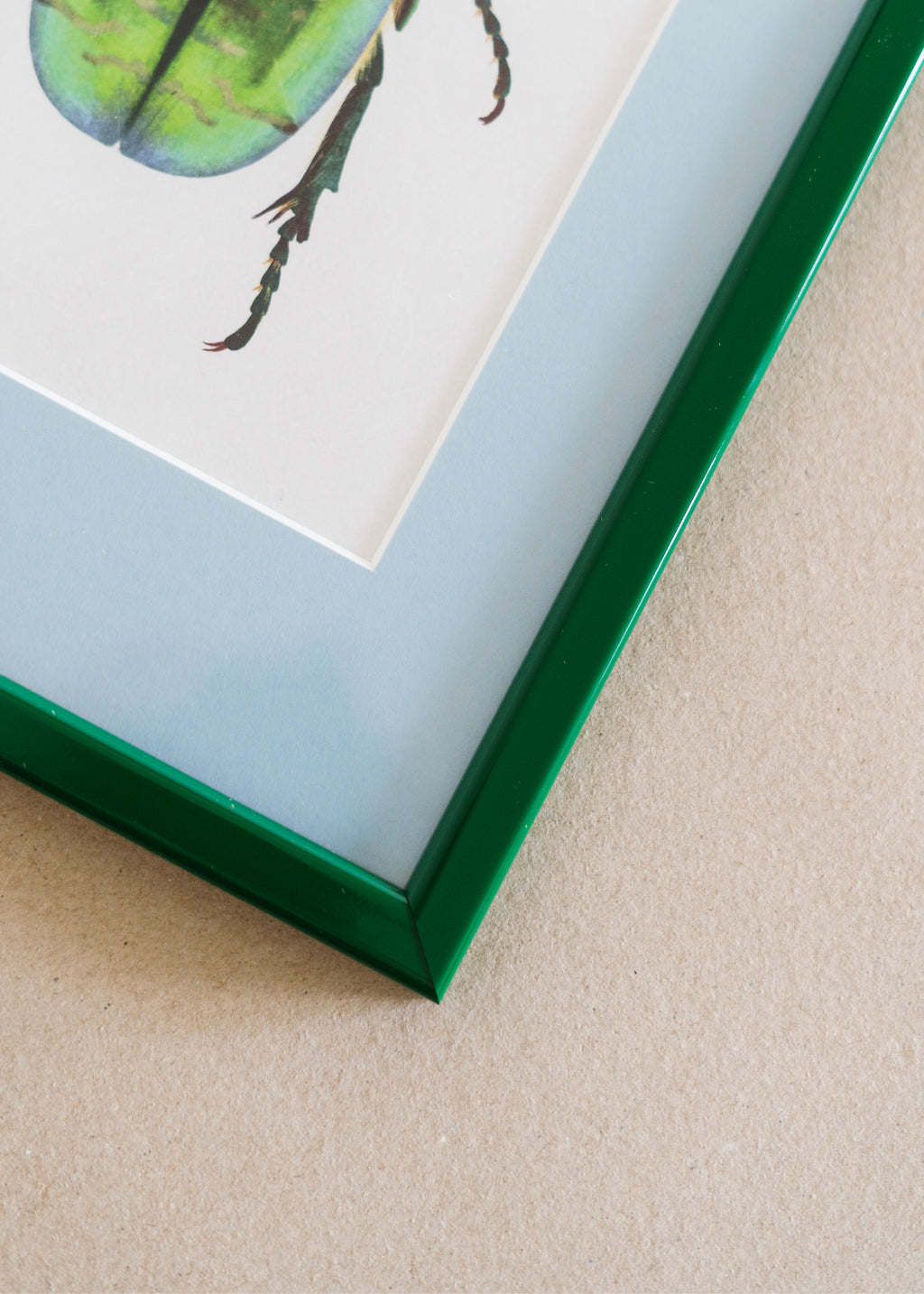 Grøn Guldbasse — Indrammet