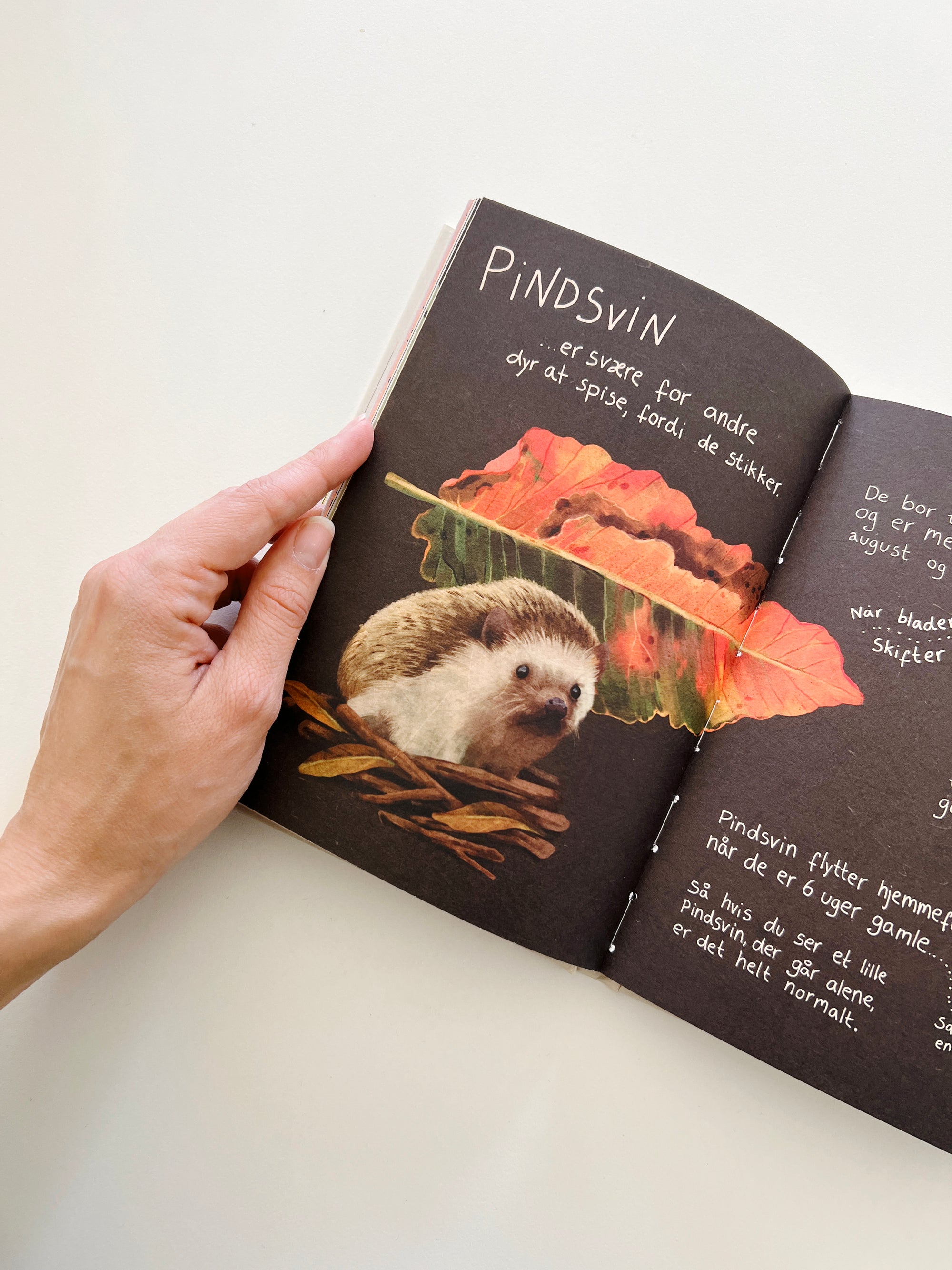 Bestsellers Bogpakken