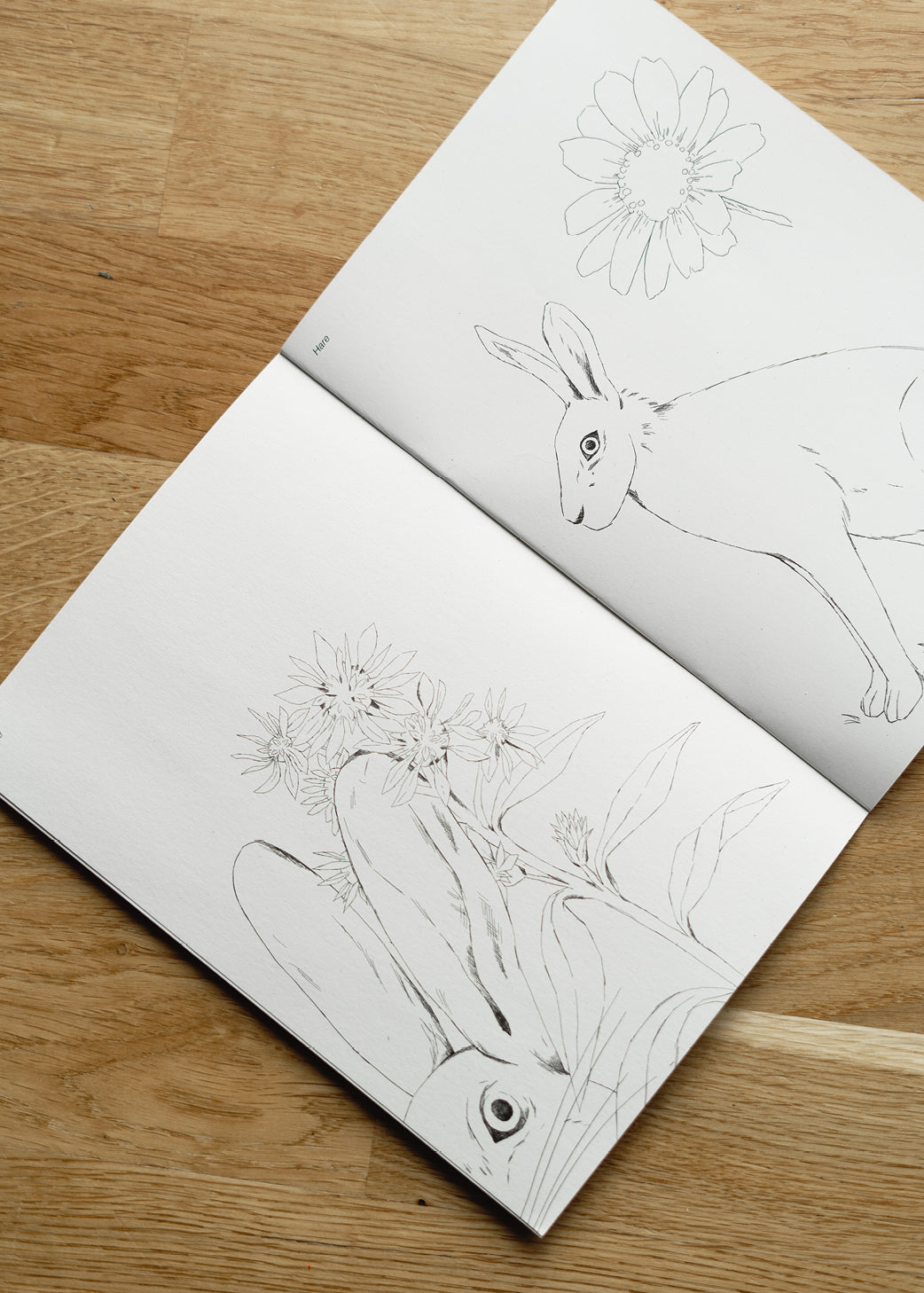 Hverdagsvenner Malebog, 24 sider —  100% genbrugspapir